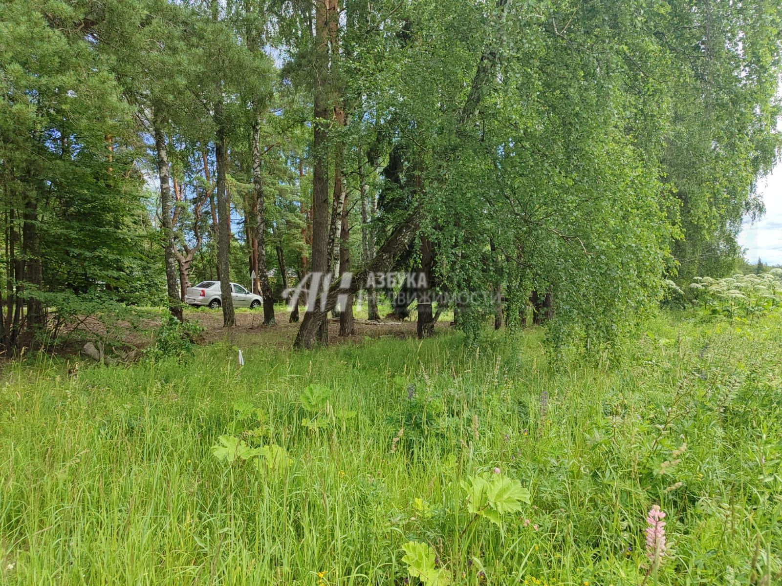 Земли поселения Московская область, Рузский городской округ, посёлок дома отдыха Лужки