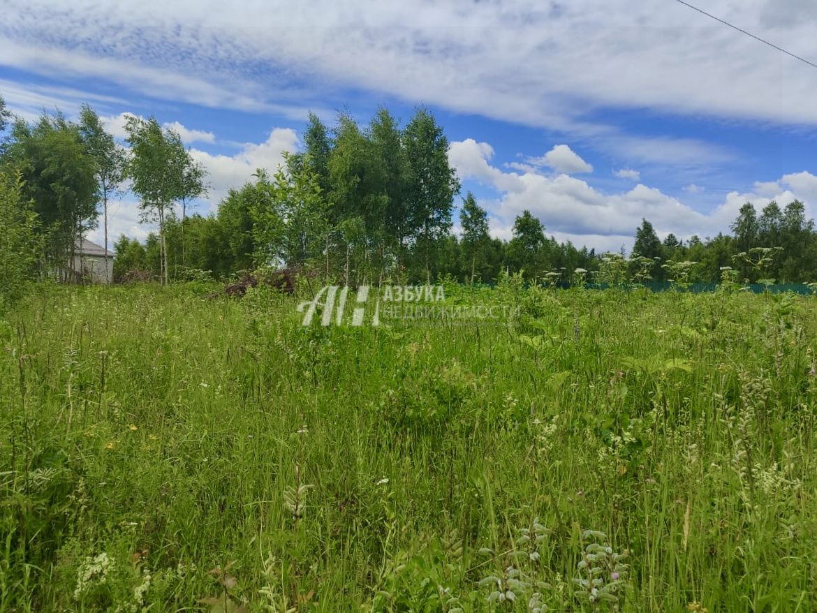 Земли поселения Московская область, Рузский городской округ, посёлок дома отдыха Лужки