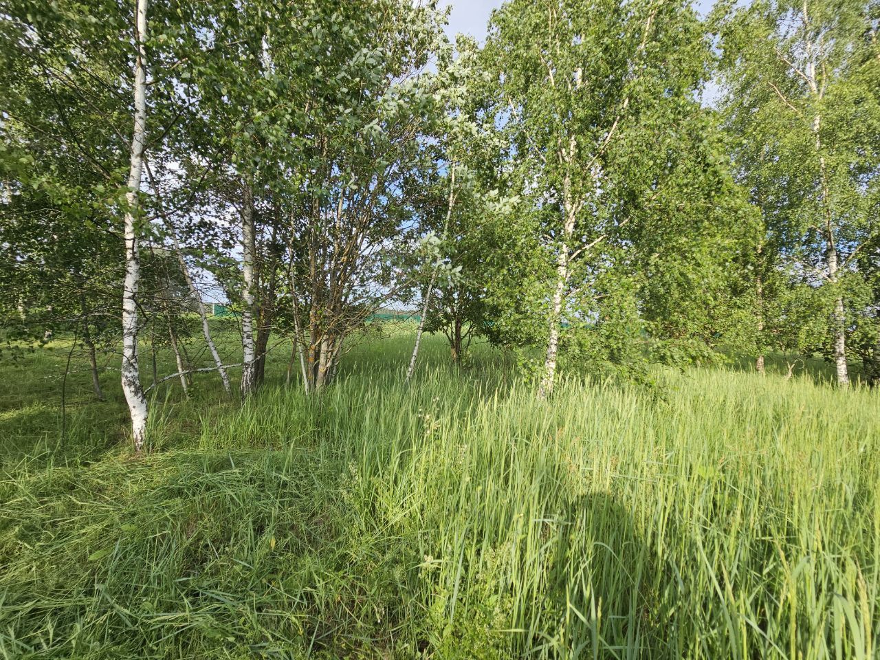 Земли поселения Московская область, городской округ Щёлково, деревня Аксиньино