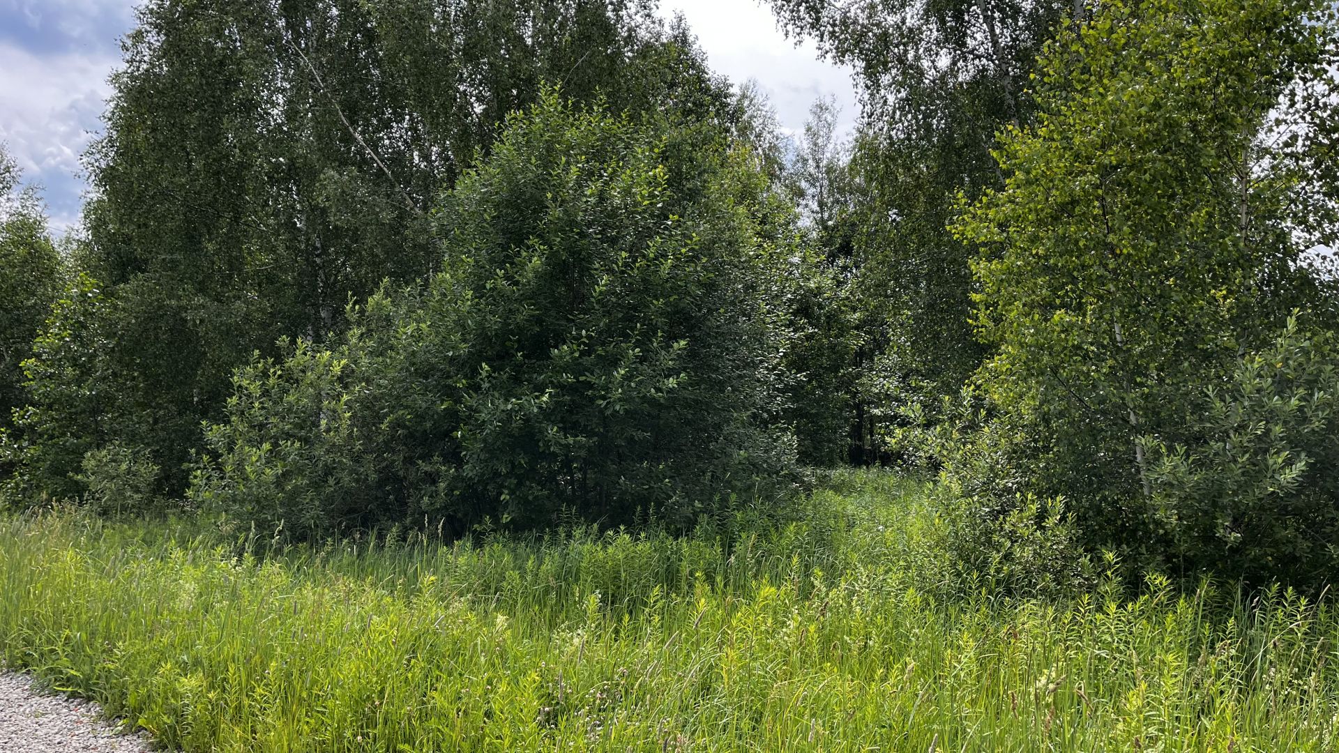 Земли поселения Московская область, Раменский городской округ, село Татаринцево, коттеджный посёлок Ясная поляна