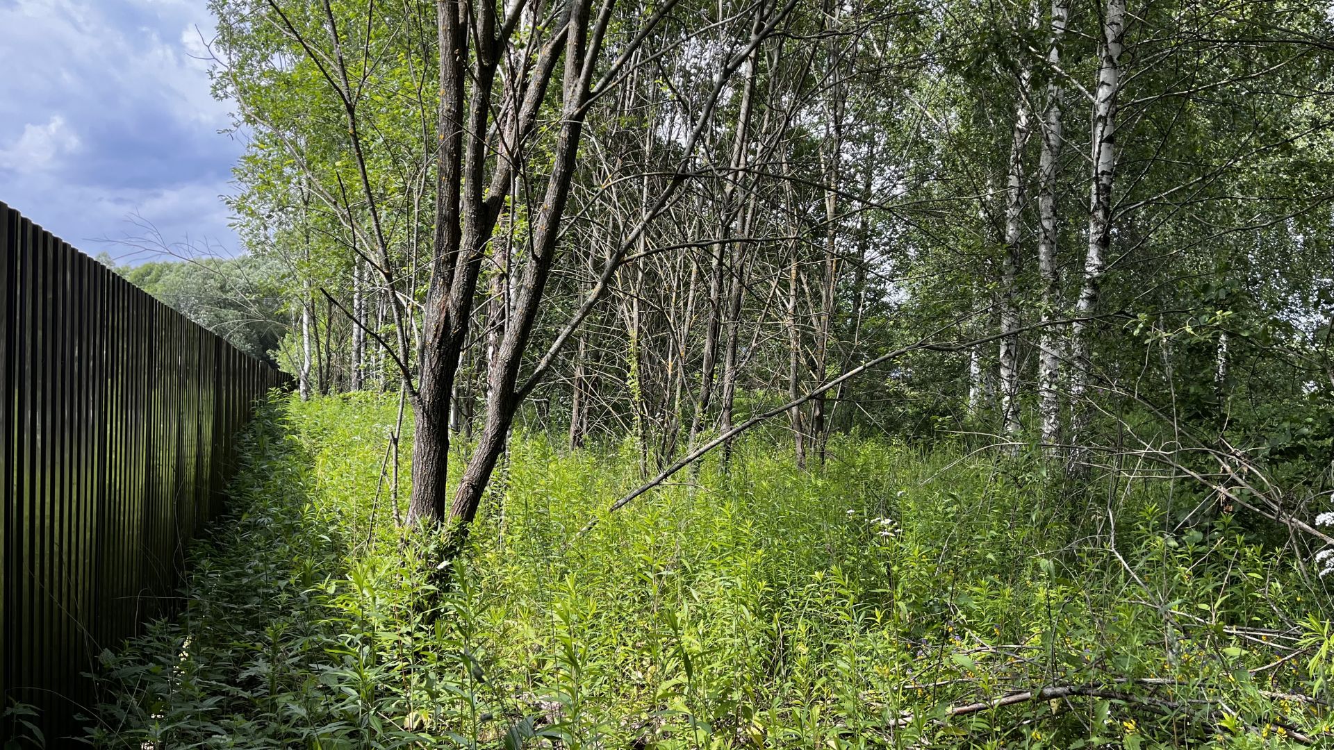 Земли поселения Московская область, Раменский городской округ, село Татаринцево, коттеджный посёлок Ясная поляна