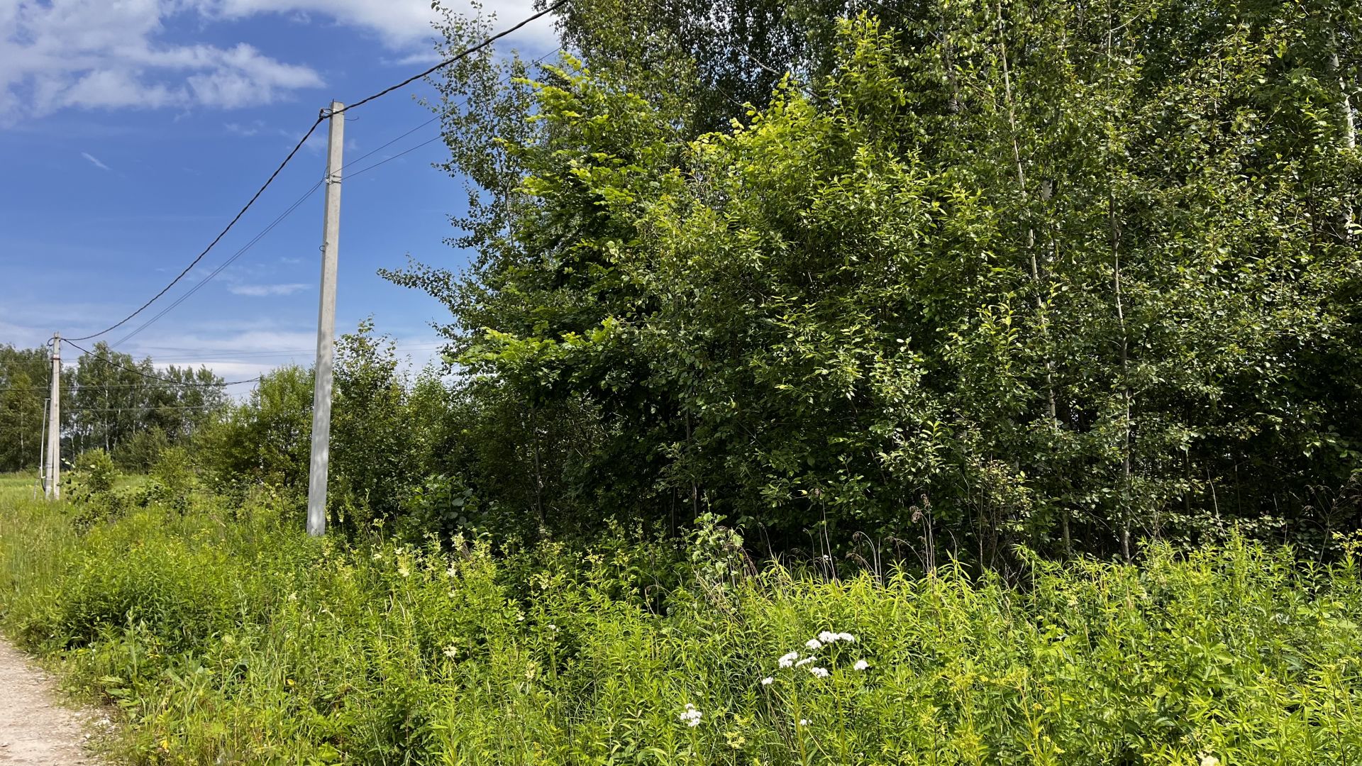 Земли поселения Московская область, Раменский городской округ, село Татаринцево, коттеджный посёлок Ясная поляна