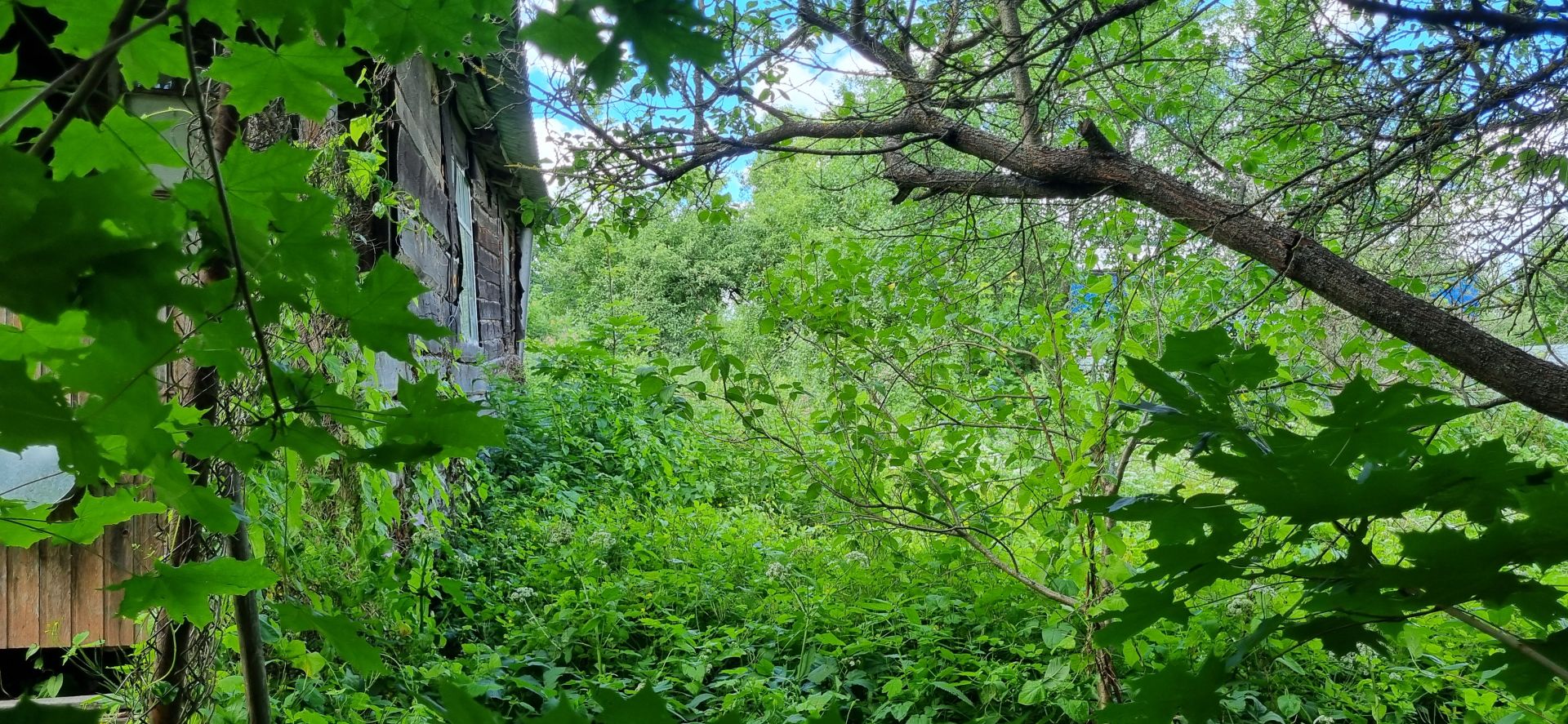 Земли поселения Московская область, Одинцовский городской округ, село Каринское