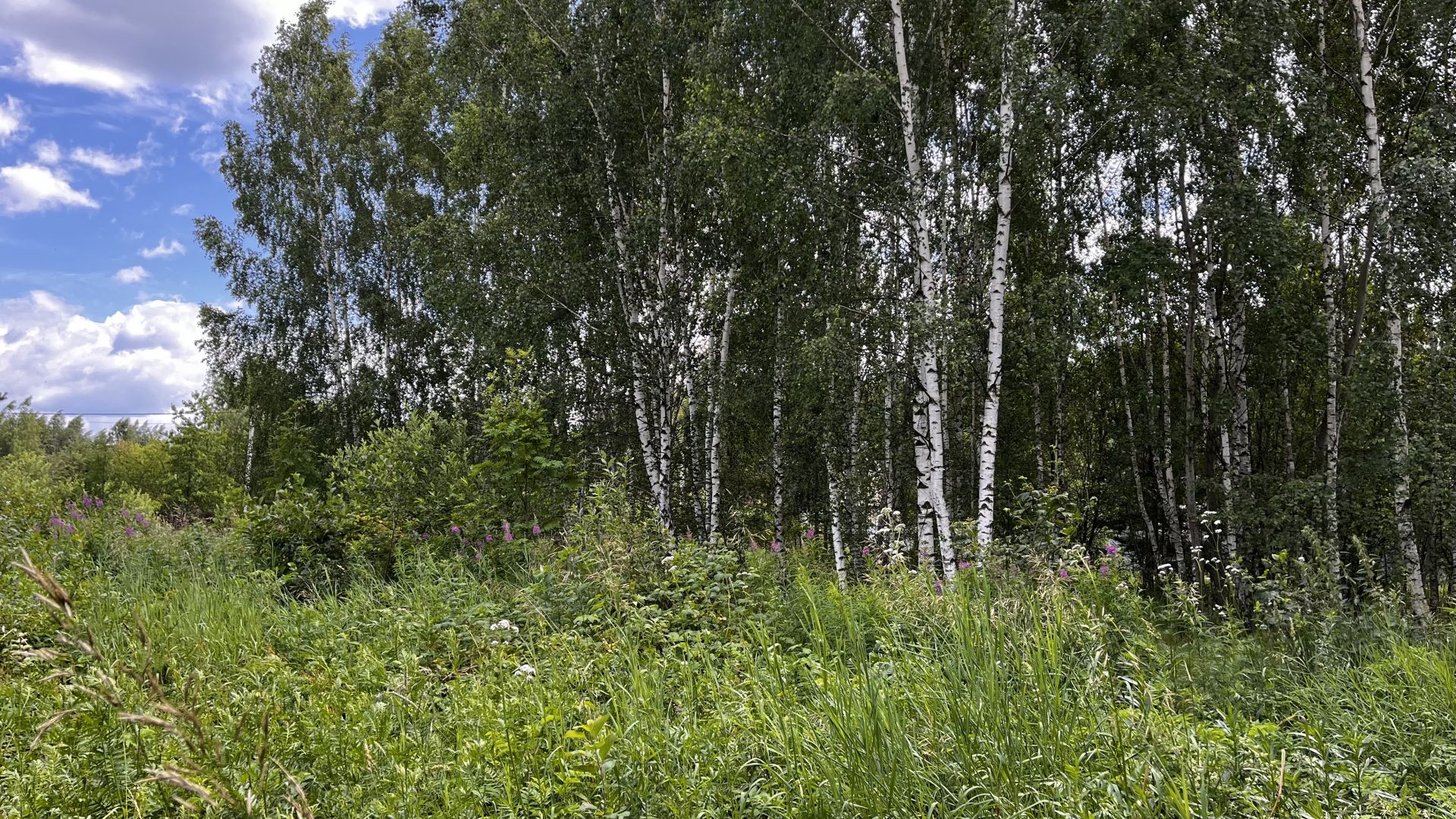 Земли сельхозназначения Московская область, Раменский городской округ, ДНП Рассвет