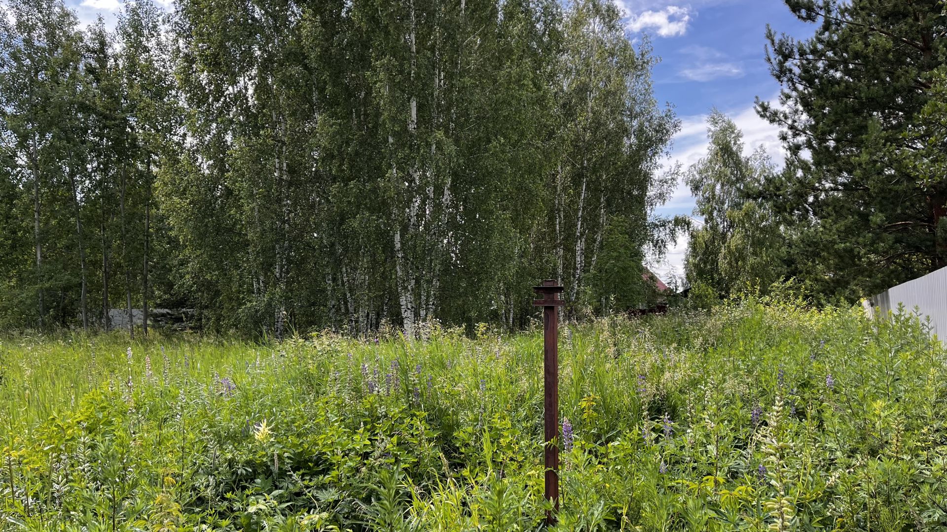 Земли сельхозназначения Московская область, Раменский городской округ, ДНП Рассвет