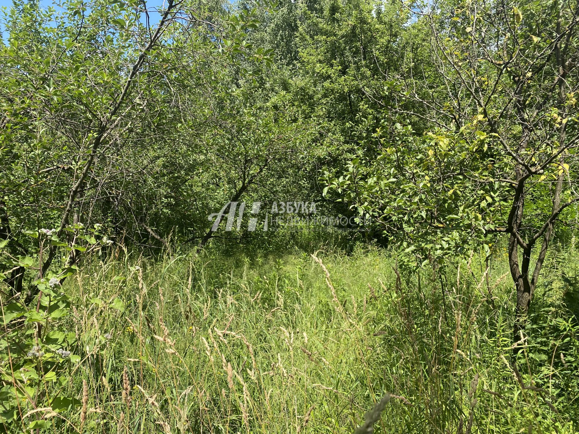 Земли сельхозназначения Московская область, Ленинский городской округ, Видное, СНТ Победа