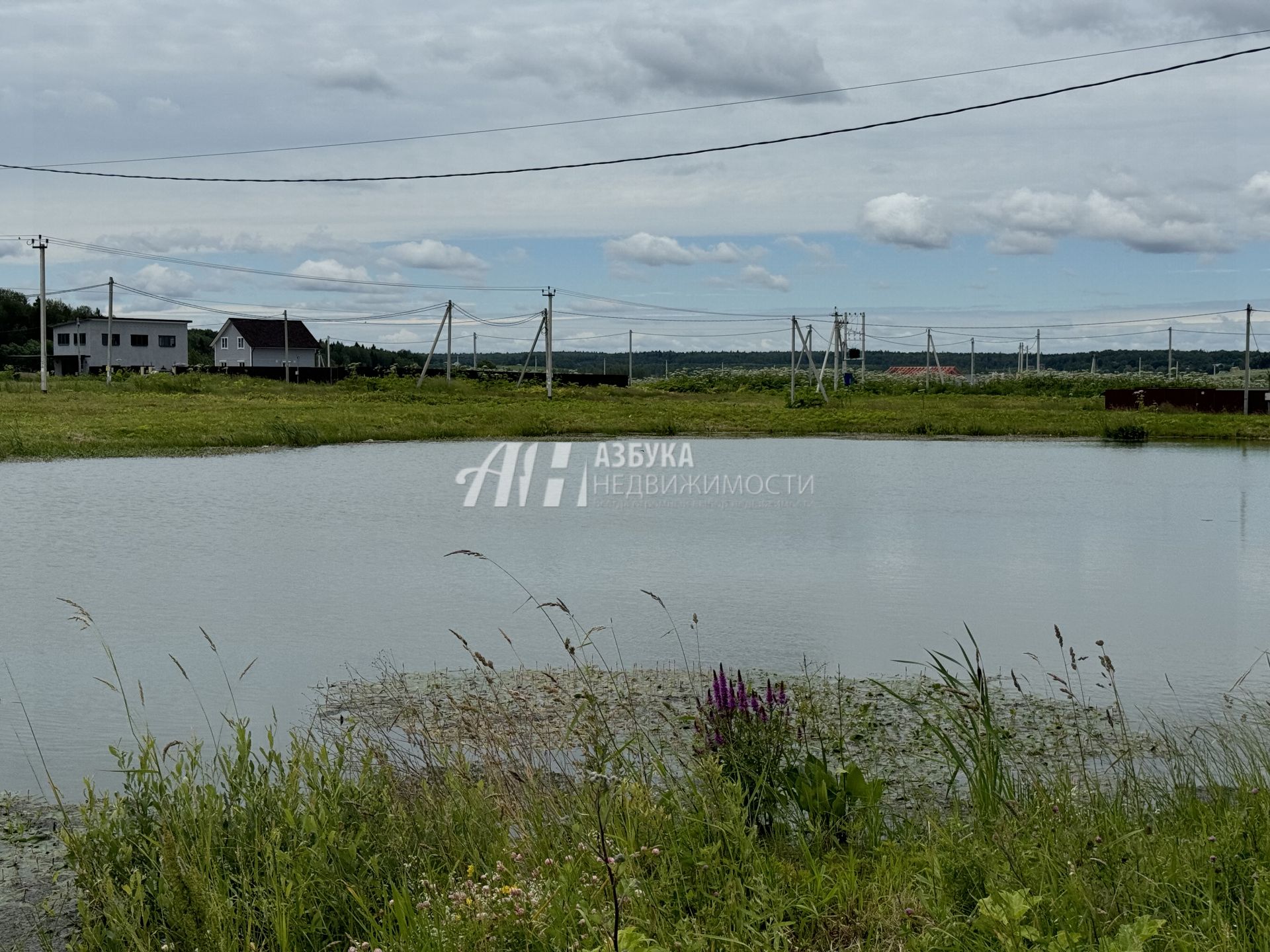 Земли поселения Московская область, городской округ Истра, деревня Шейно