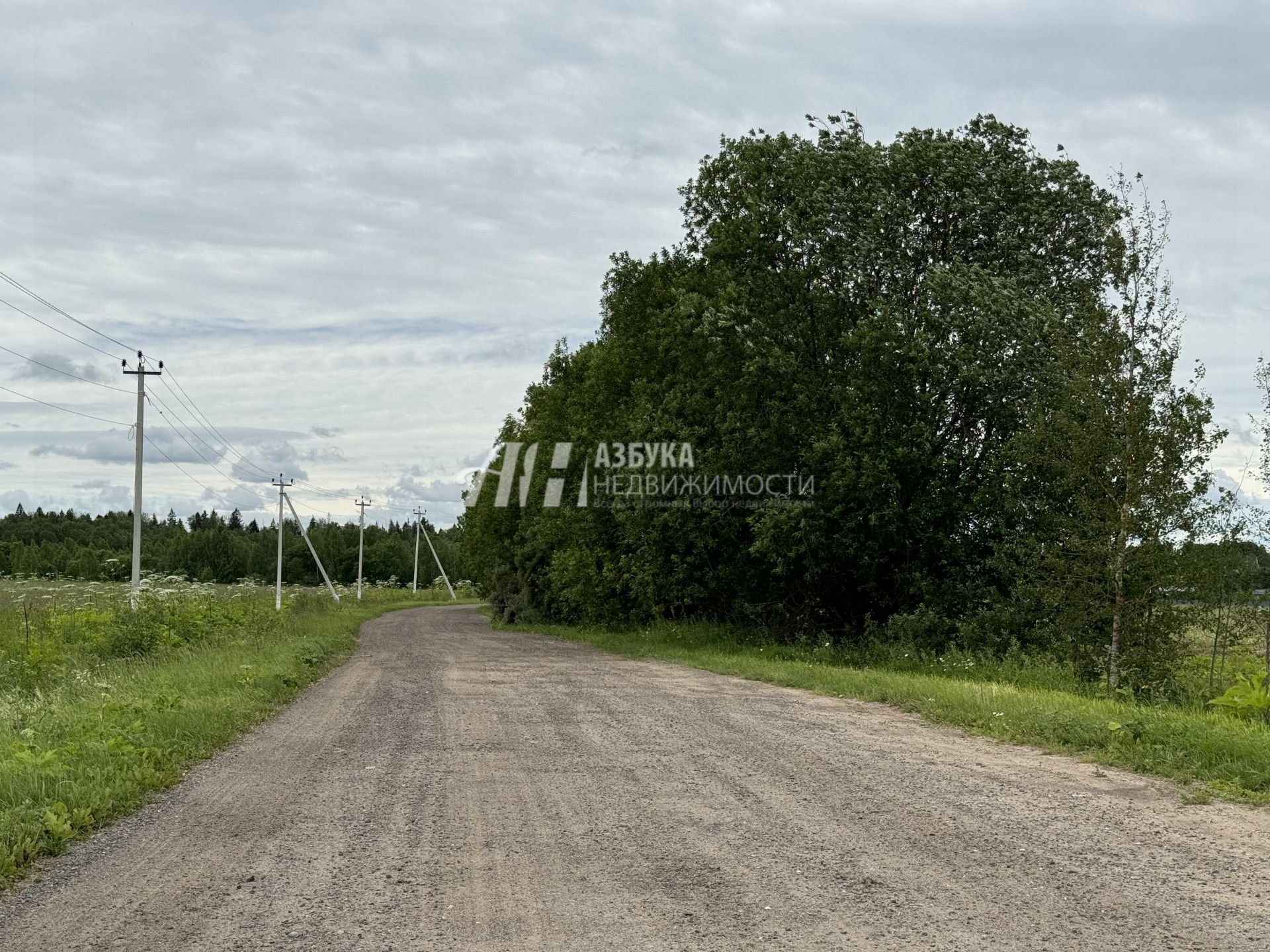 Земли поселения Московская область, городской округ Истра, деревня Шейно