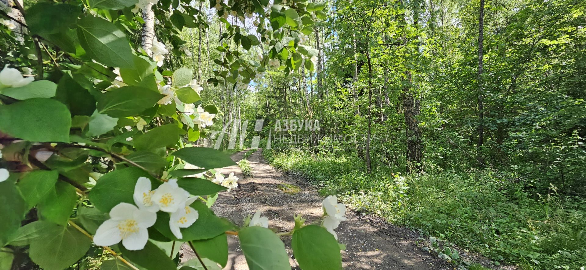 Дом Московская область, Можайский городской округ, СНТ Прудня