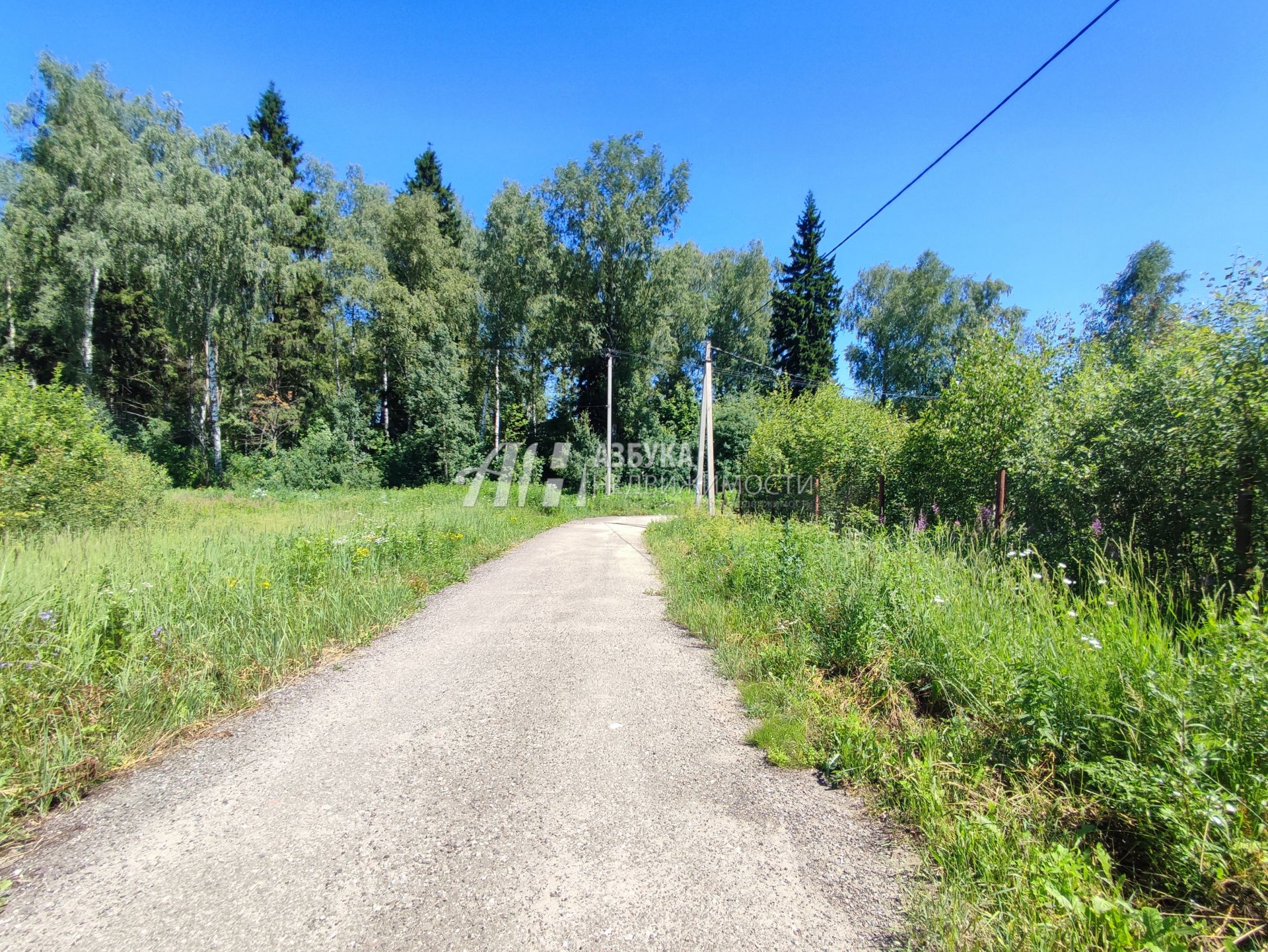 Земли поселения Московская область, Богородский городской округ, село Мамонтово, Солнечный переулок