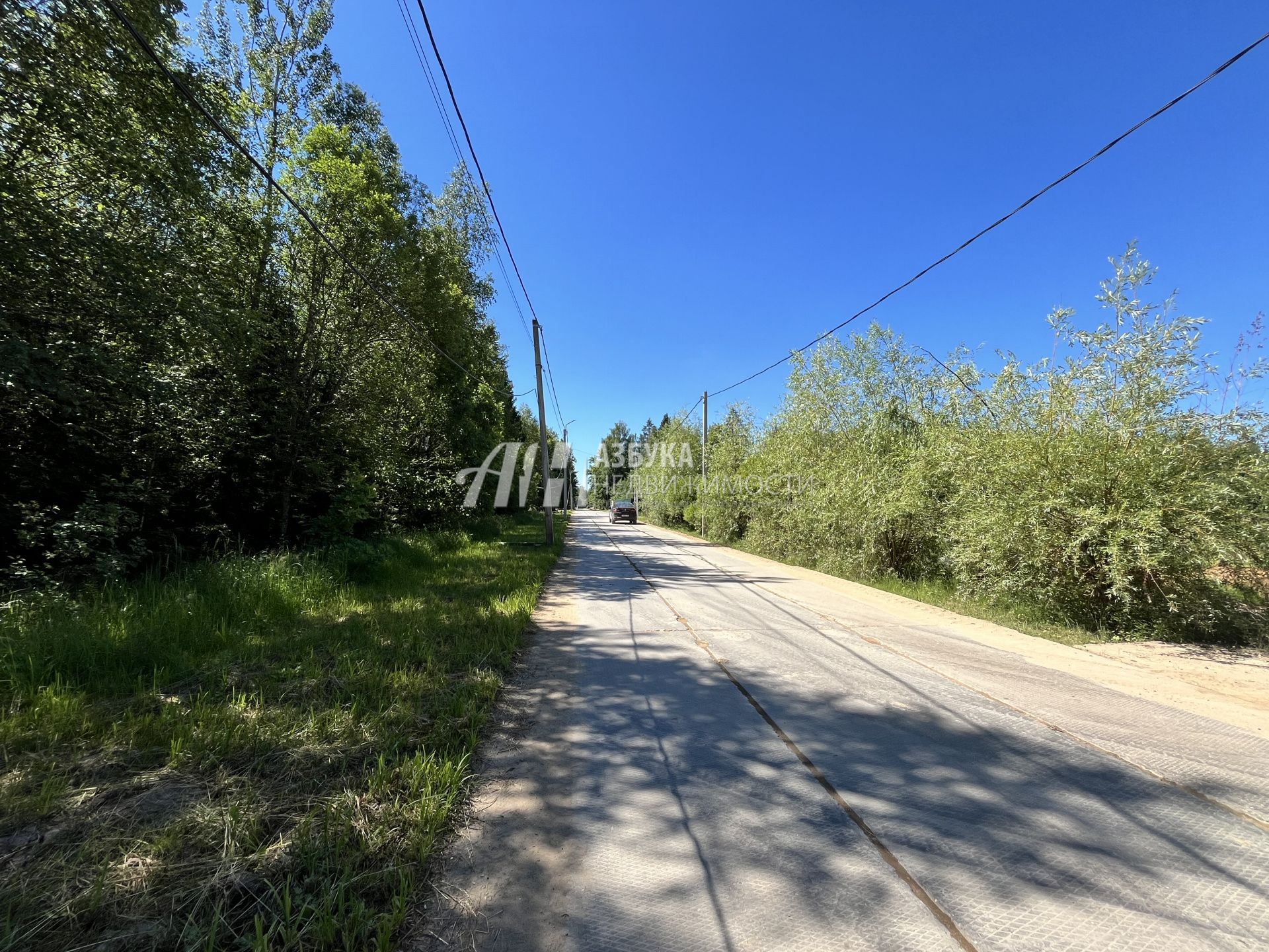 Земли поселения Московская область, городской округ Пушкинский, деревня Могильцы, микрорайон Пушкинский Лес