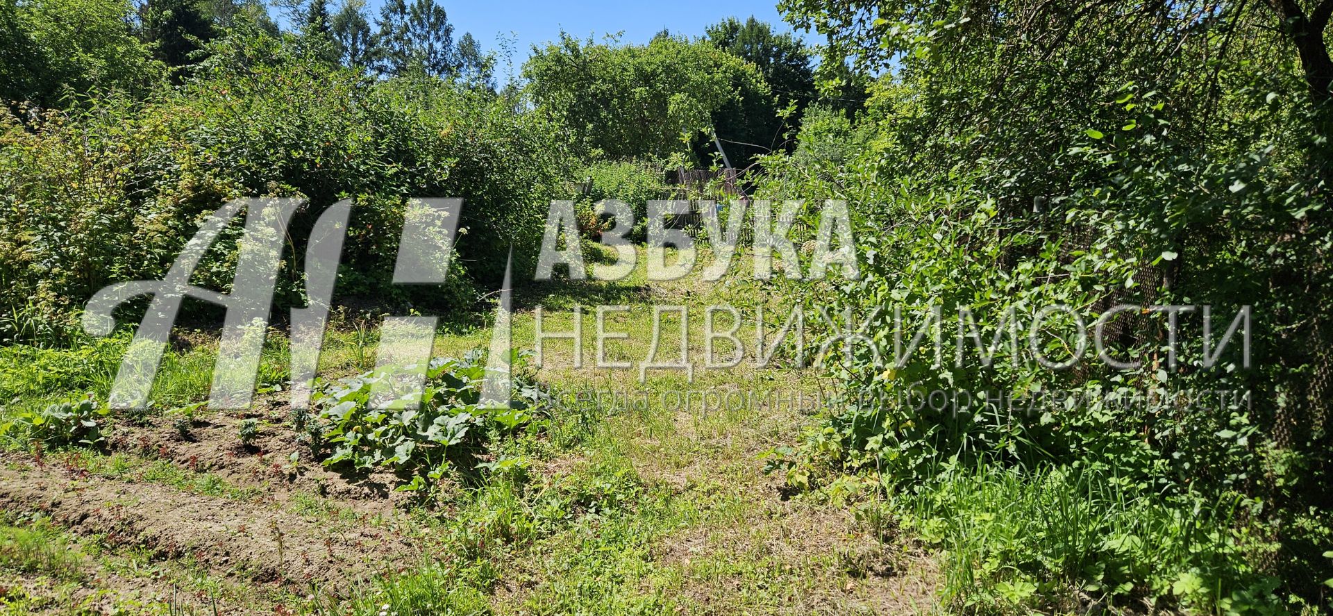 Земли поселения Московская область, Рузский городской округ, деревня Нововолково