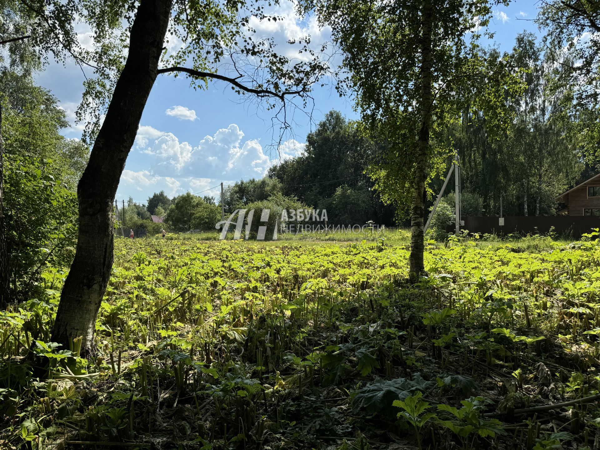 Земли поселения Московская область, Рузский городской округ, деревня Акатово