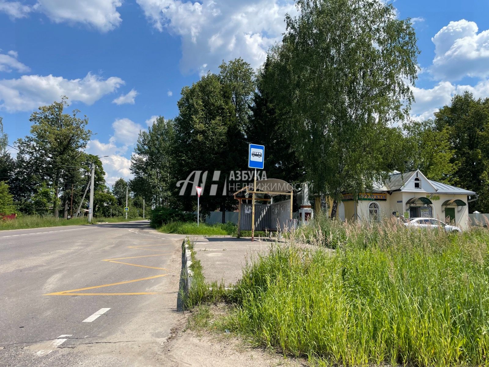 Земли поселения Московская область, Богородский городской округ, село Воскресенское, Светлая улица