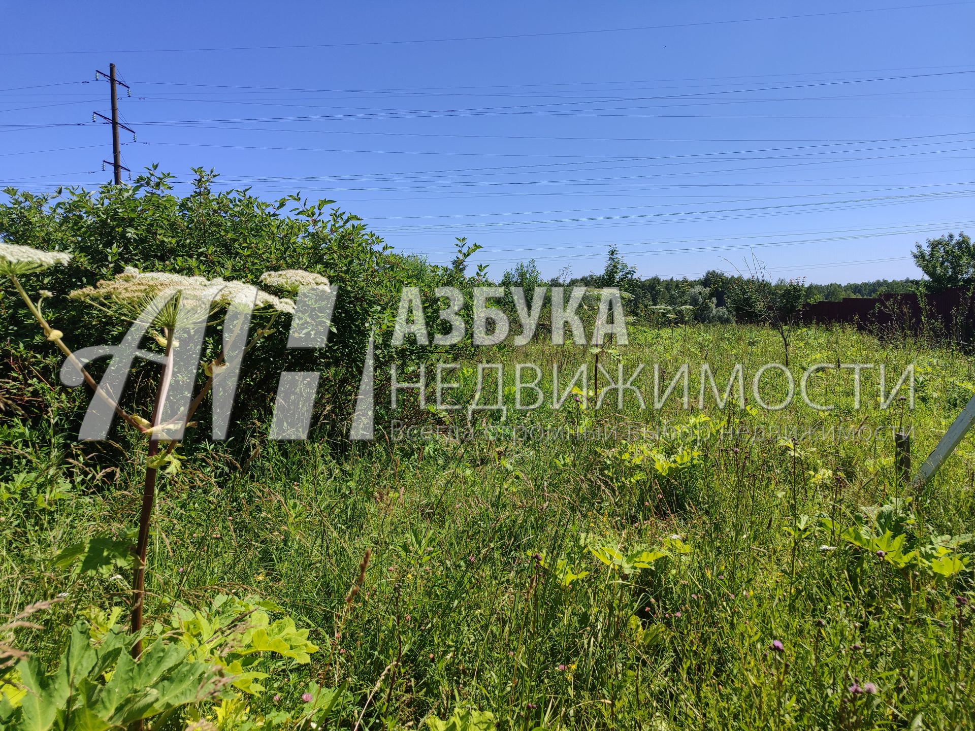 Земли поселения Московская область, Рузский городской округ, село Никольское