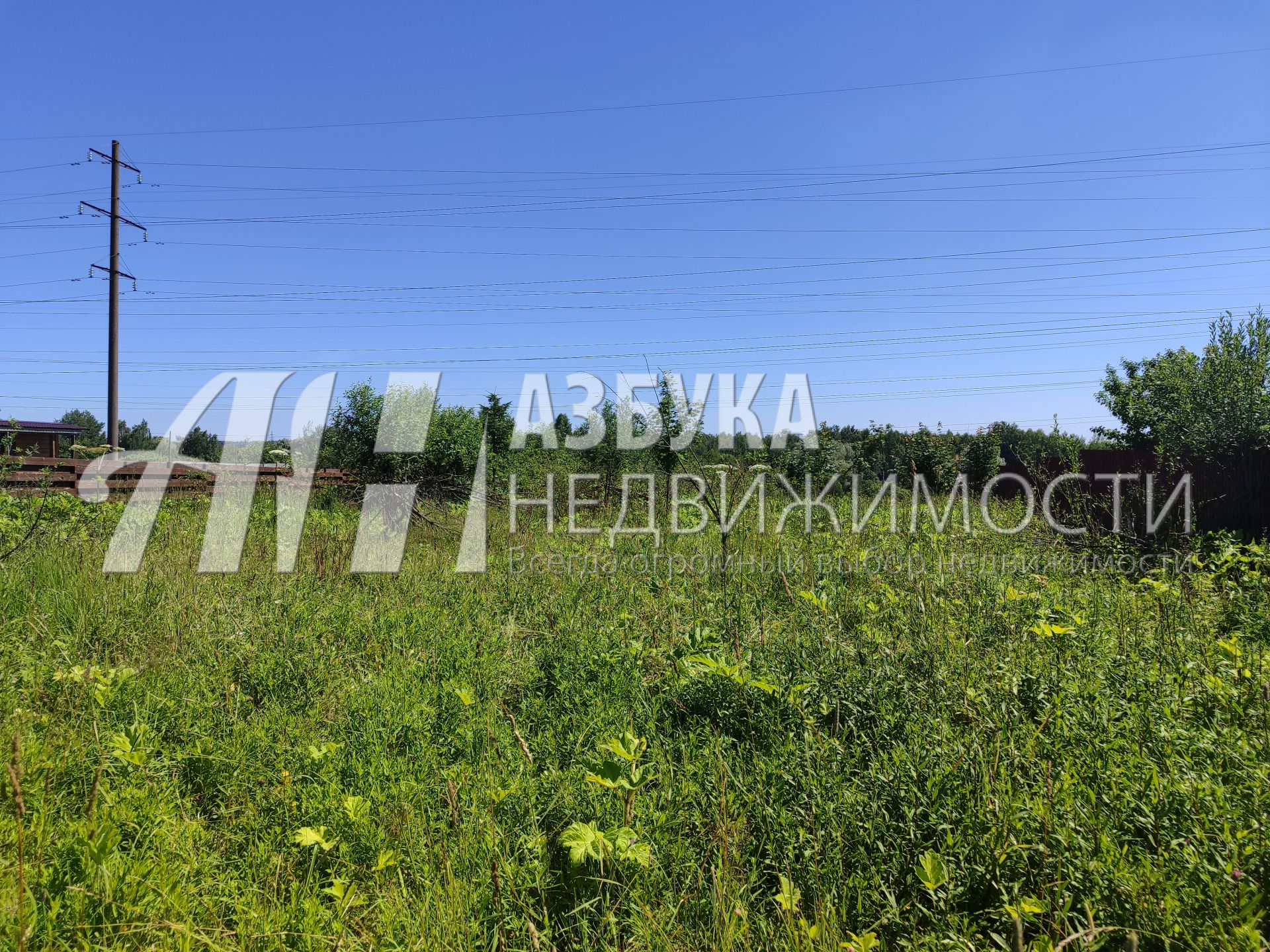 Земли поселения Московская область, Рузский городской округ, село Никольское