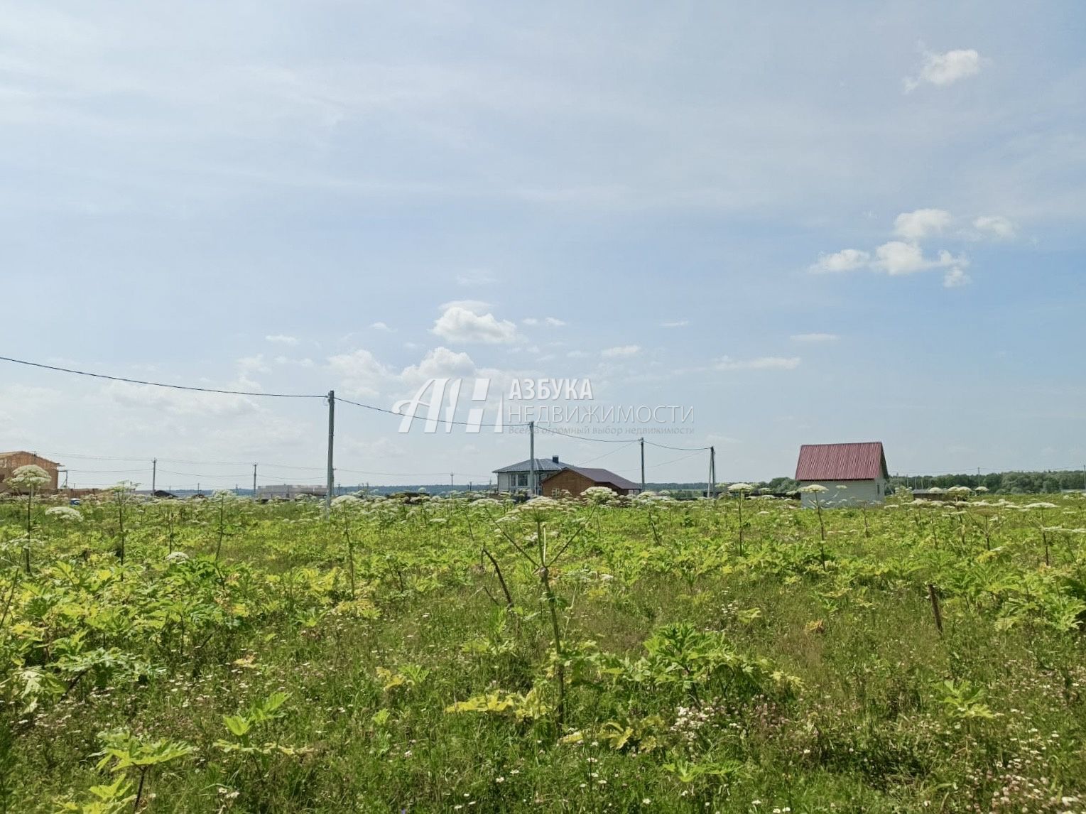 Земли поселения Московская область, городской округ Истра, деревня Загорье