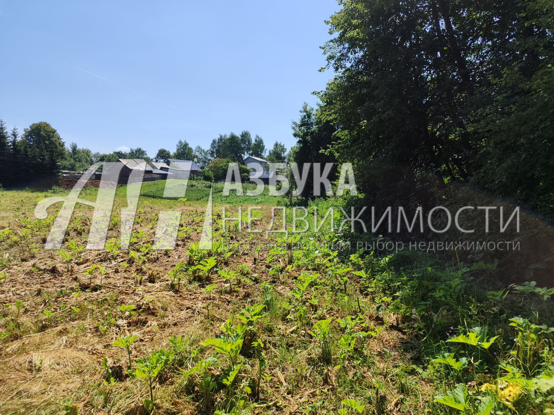 Земли поселения Московская область, Рузский городской округ, деревня Щербинки