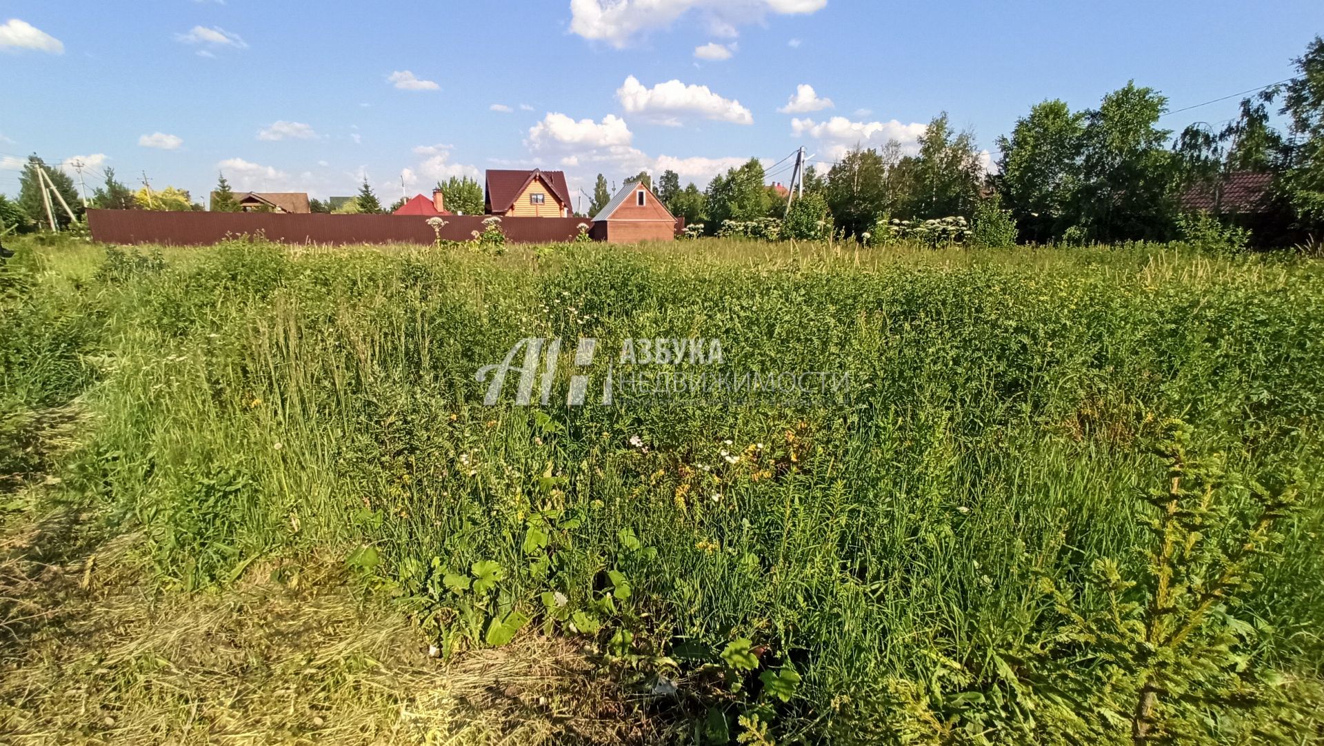 Земли поселения Московская область, городской округ Пушкинский, село Тишково