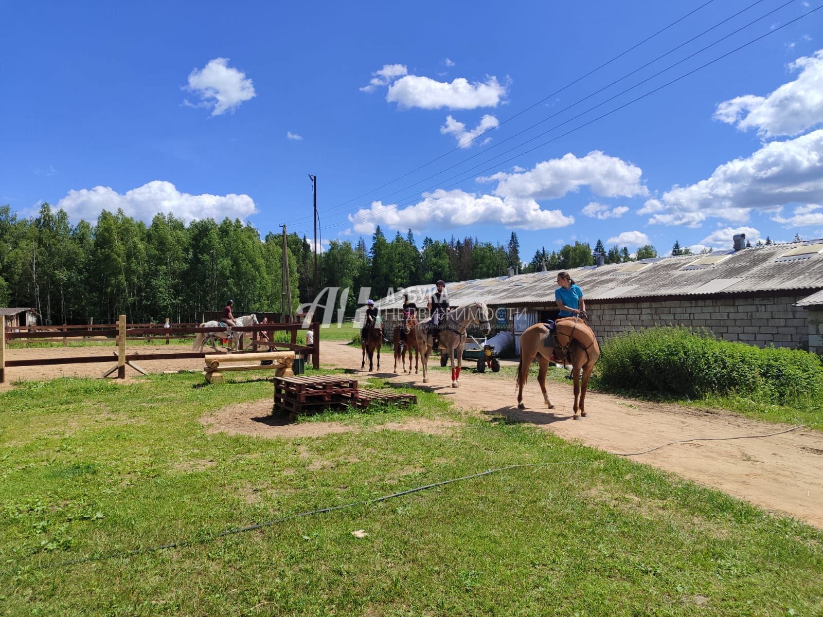 Земли поселения Московская область, Рузский городской округ, деревня Копцево