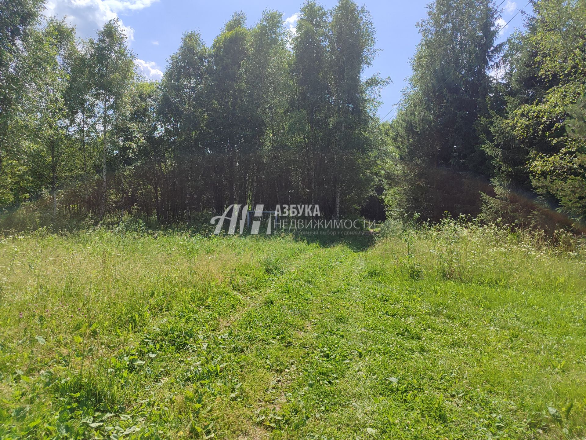 Земли поселения Московская область, Рузский городской округ, деревня Копцево