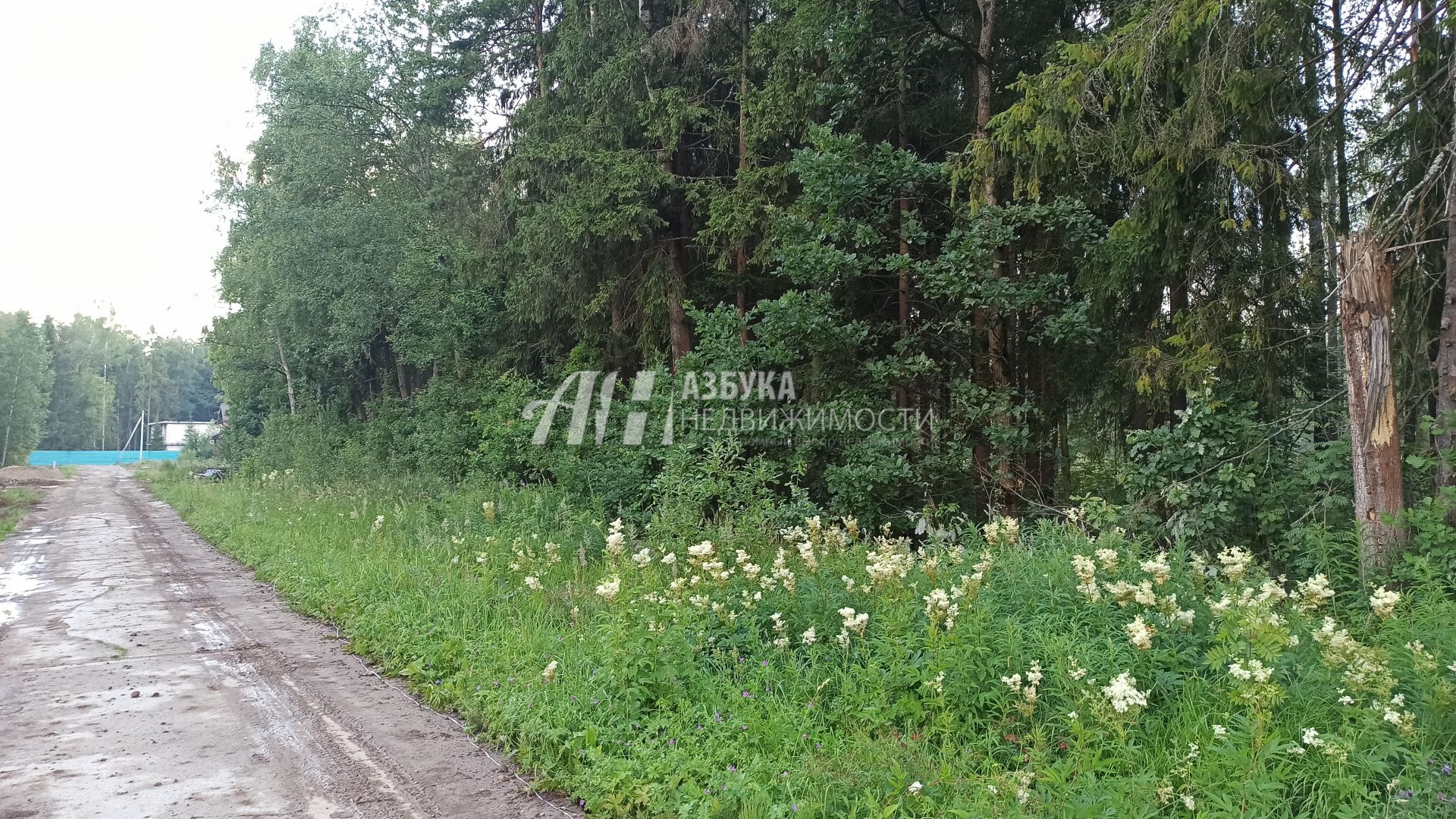 Земли поселения Московская область, городской округ Пушкинский, деревня Могильцы, микрорайон Пушкинский Лес