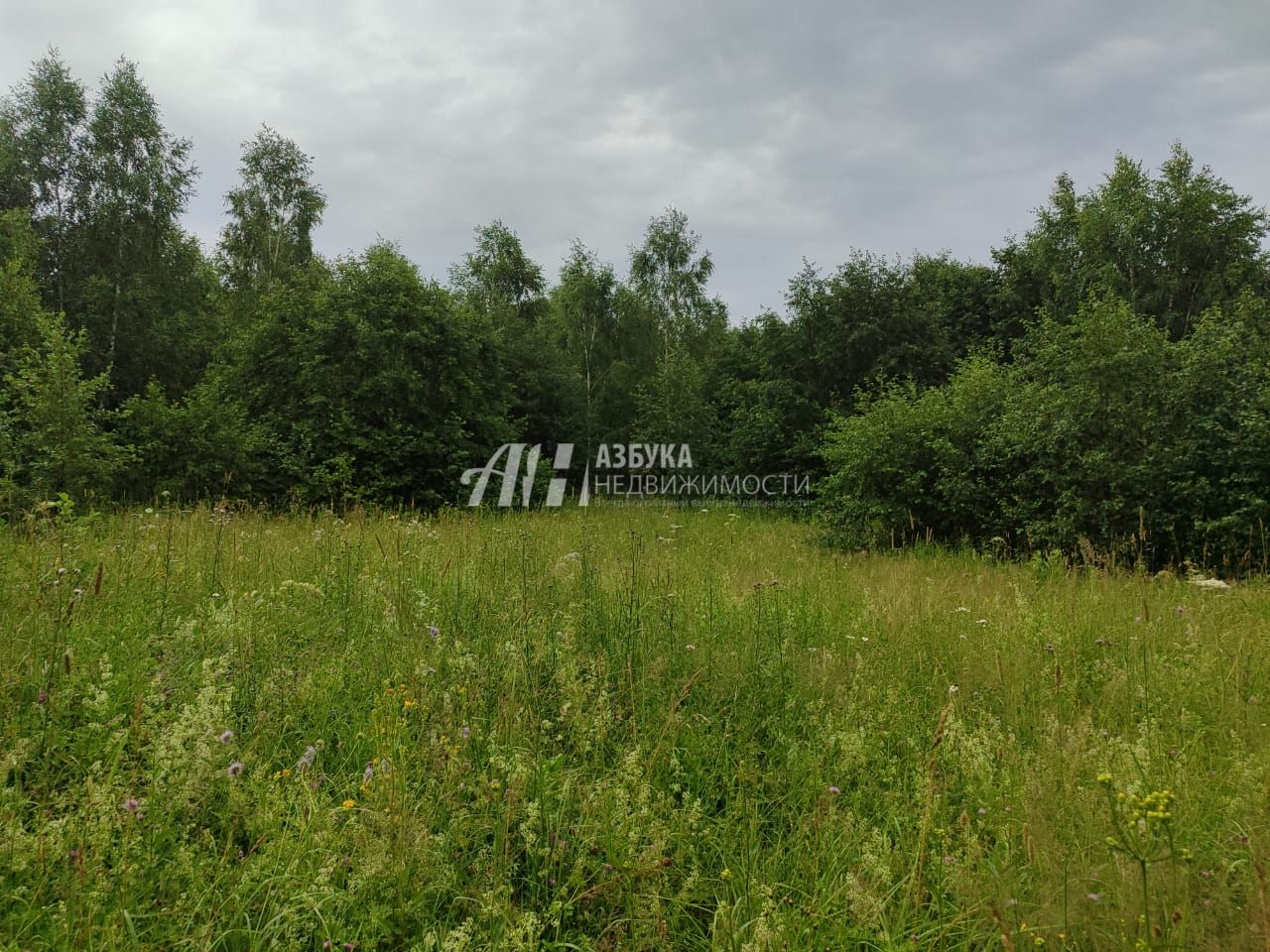 Земли поселения Московская область, Рузский городской округ, деревня Барынино