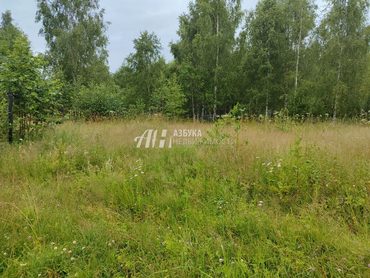 Земли поселения Московская область, Рузский городской округ, деревня Барынино