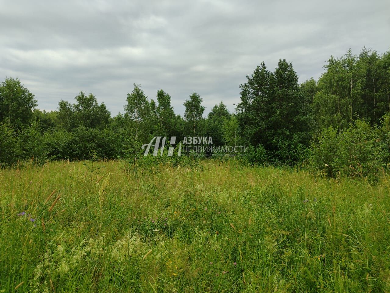 Земли поселения Московская область, Рузский городской округ, деревня Барынино