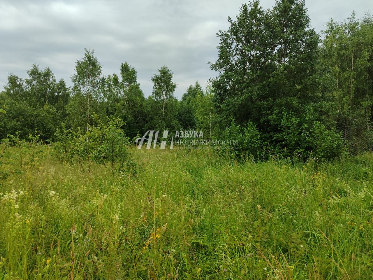 Земли поселения Московская область, Рузский городской округ, деревня Барынино