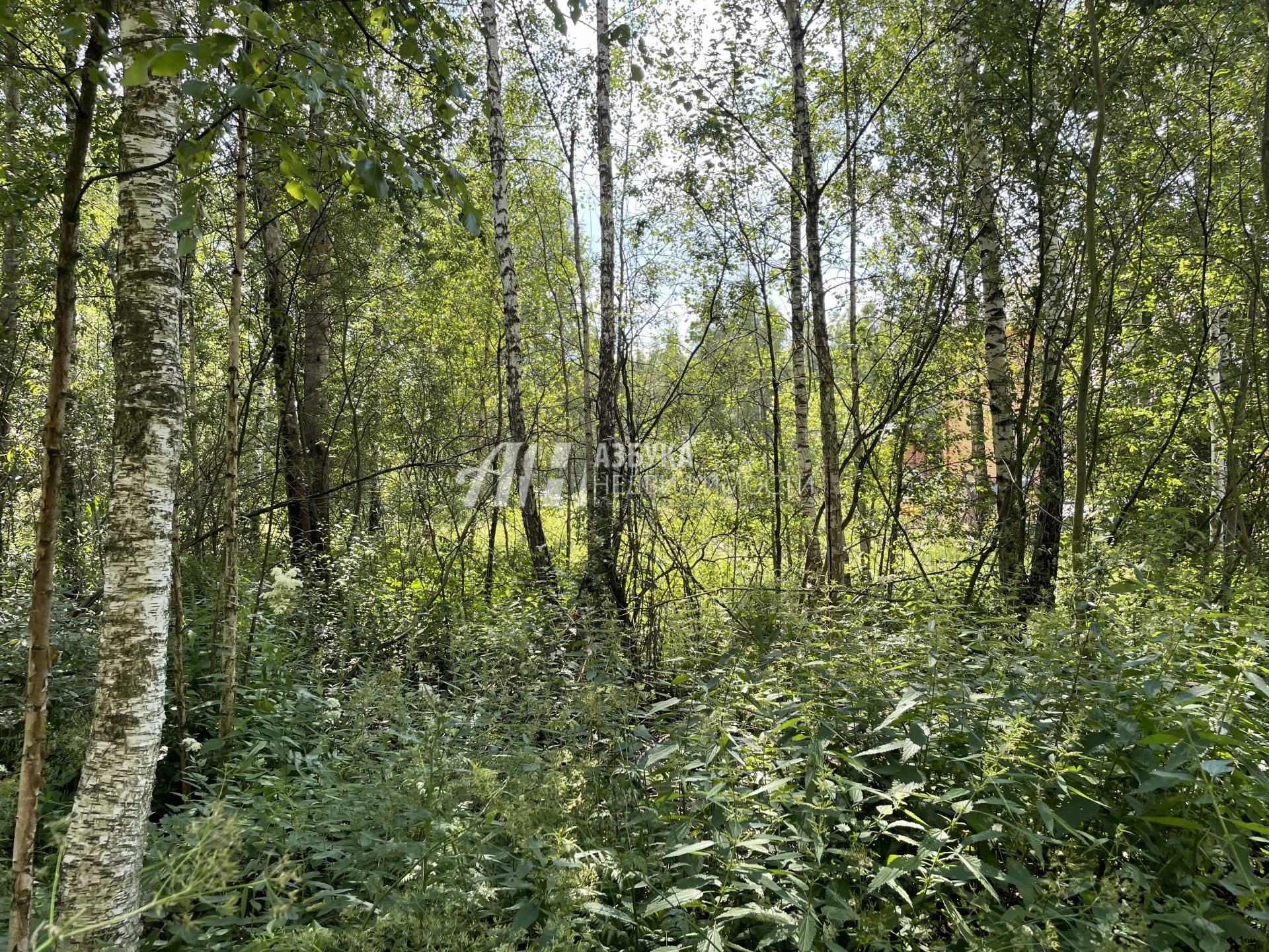 Земли сельхозназначения Московская область, Богородский городской округ, деревня Аборино