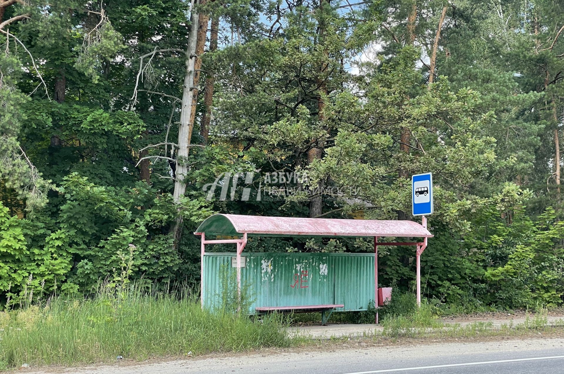 Земли сельхозназначения Московская область, Богородский городской округ, деревня Аборино