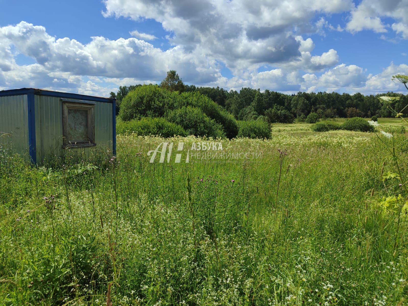  Московская область, Рузский городской округ, деревня Леньково