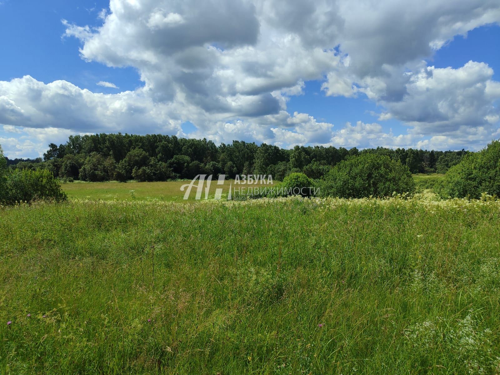  Московская область, Рузский городской округ, деревня Леньково