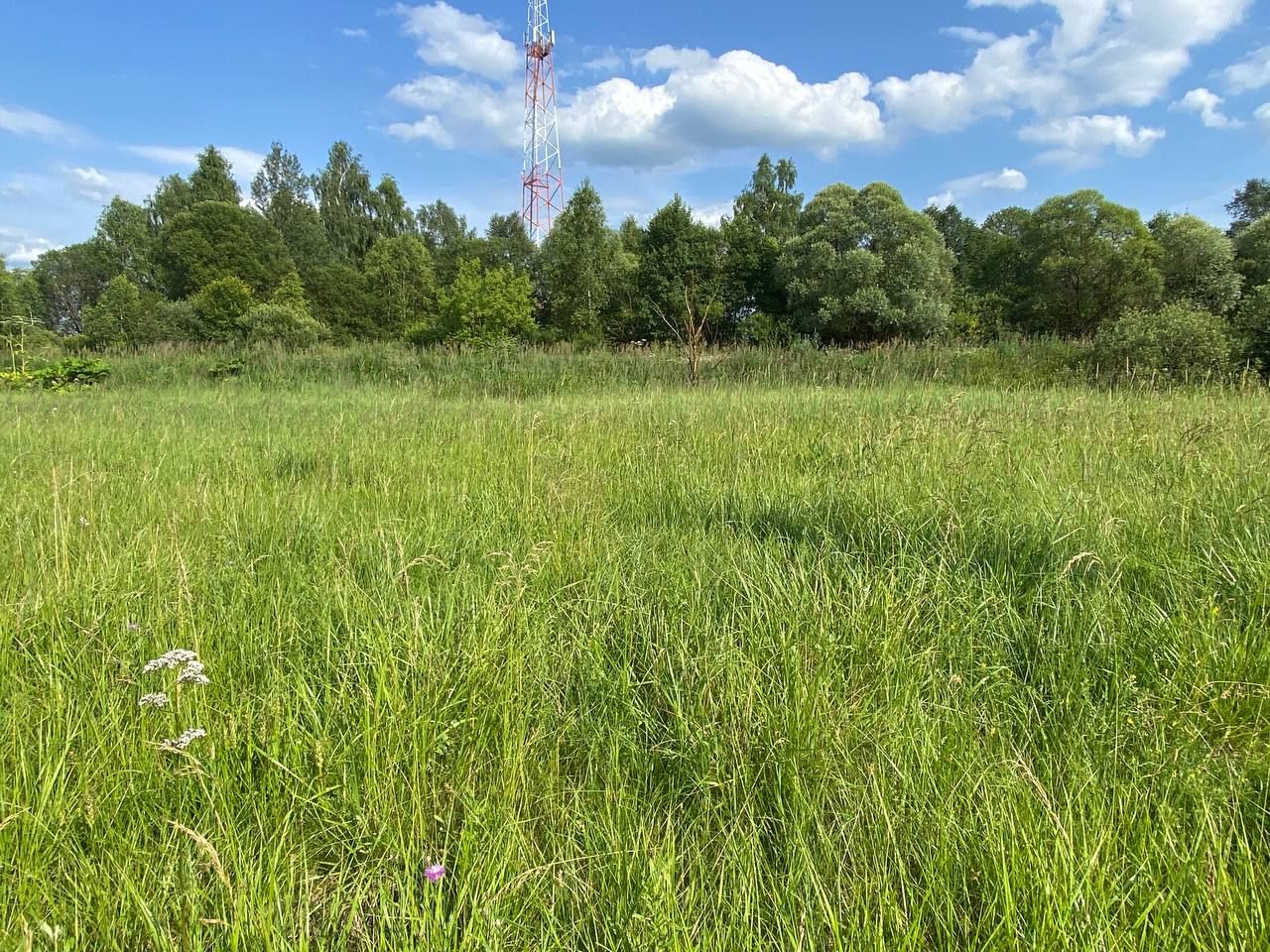  Московская область, Рузский городской округ, деревня Колодкино