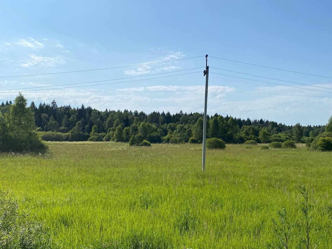  Московская область, Рузский городской округ, деревня Колодкино