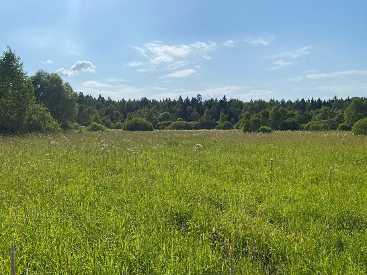  Московская область, Рузский городской округ, деревня Колодкино