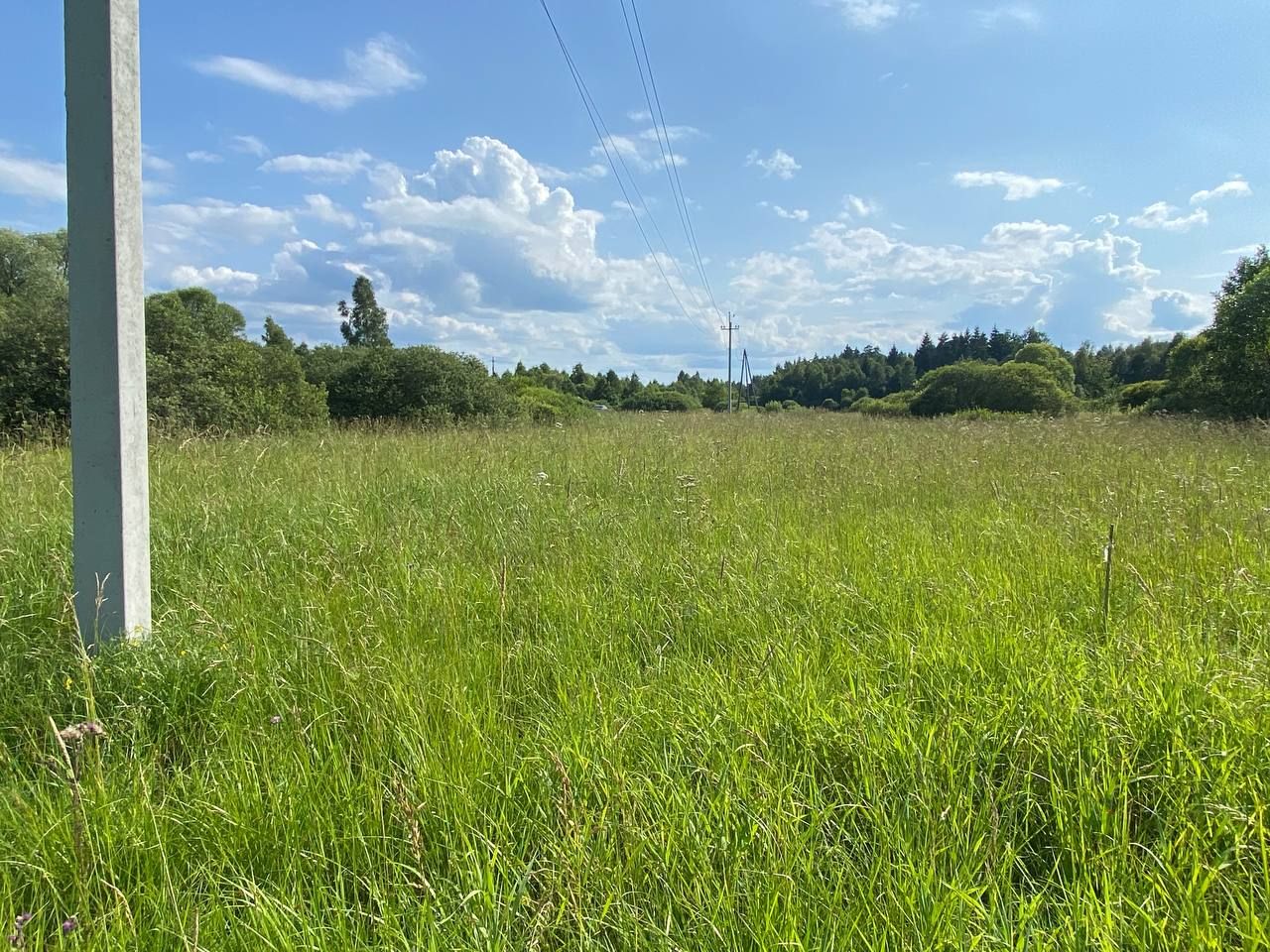  Московская область, Рузский городской округ, деревня Колодкино