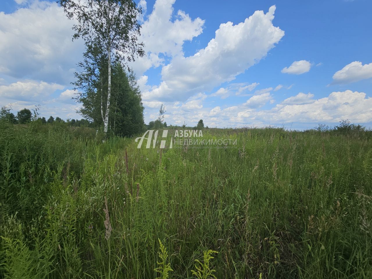 Земли поселения Московская область, Богородский городской округ, Ногинск, Ново-Богородская улица