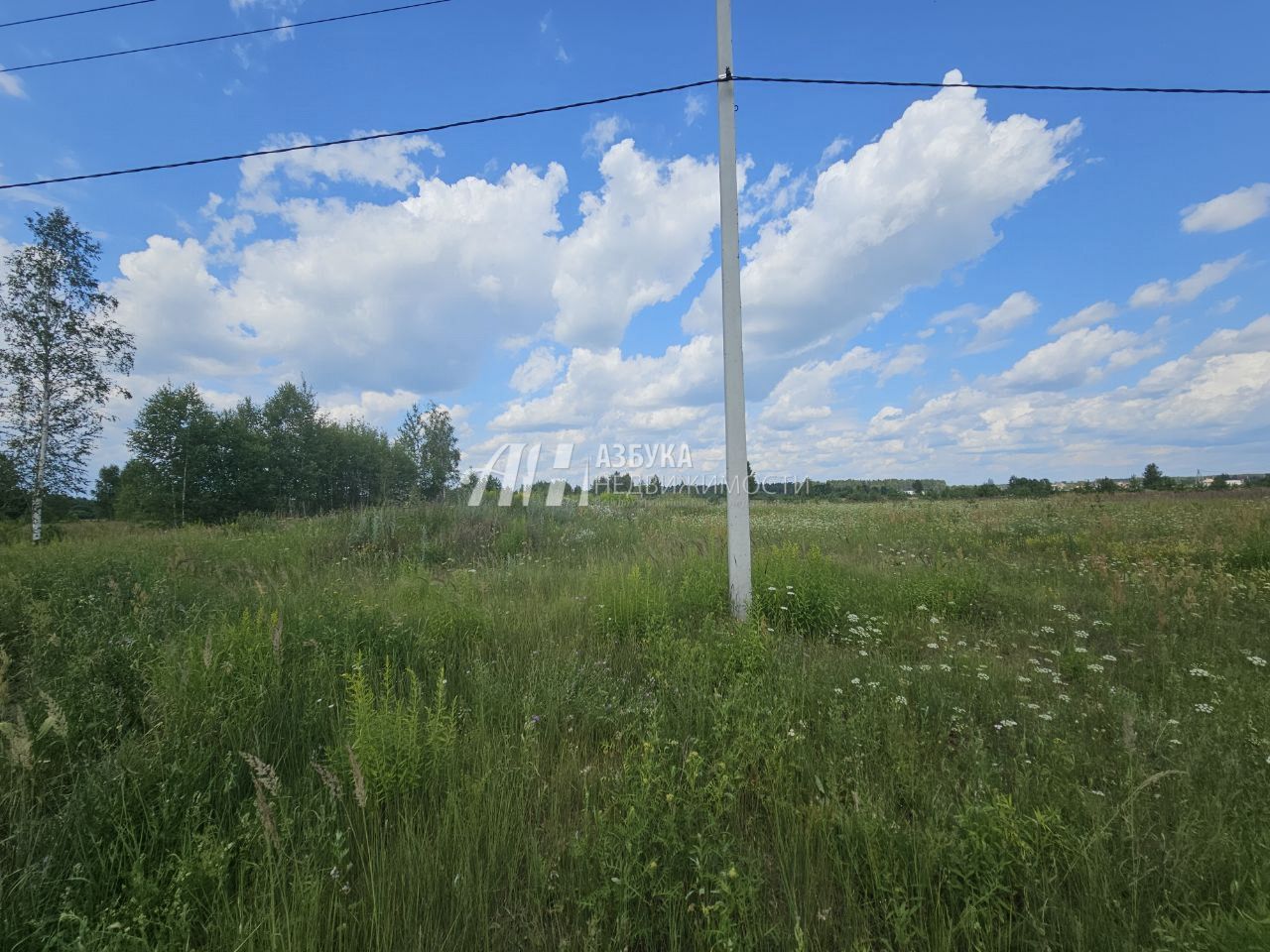 Земли поселения Московская область, Богородский городской округ, Ногинск, Ново-Богородская улица