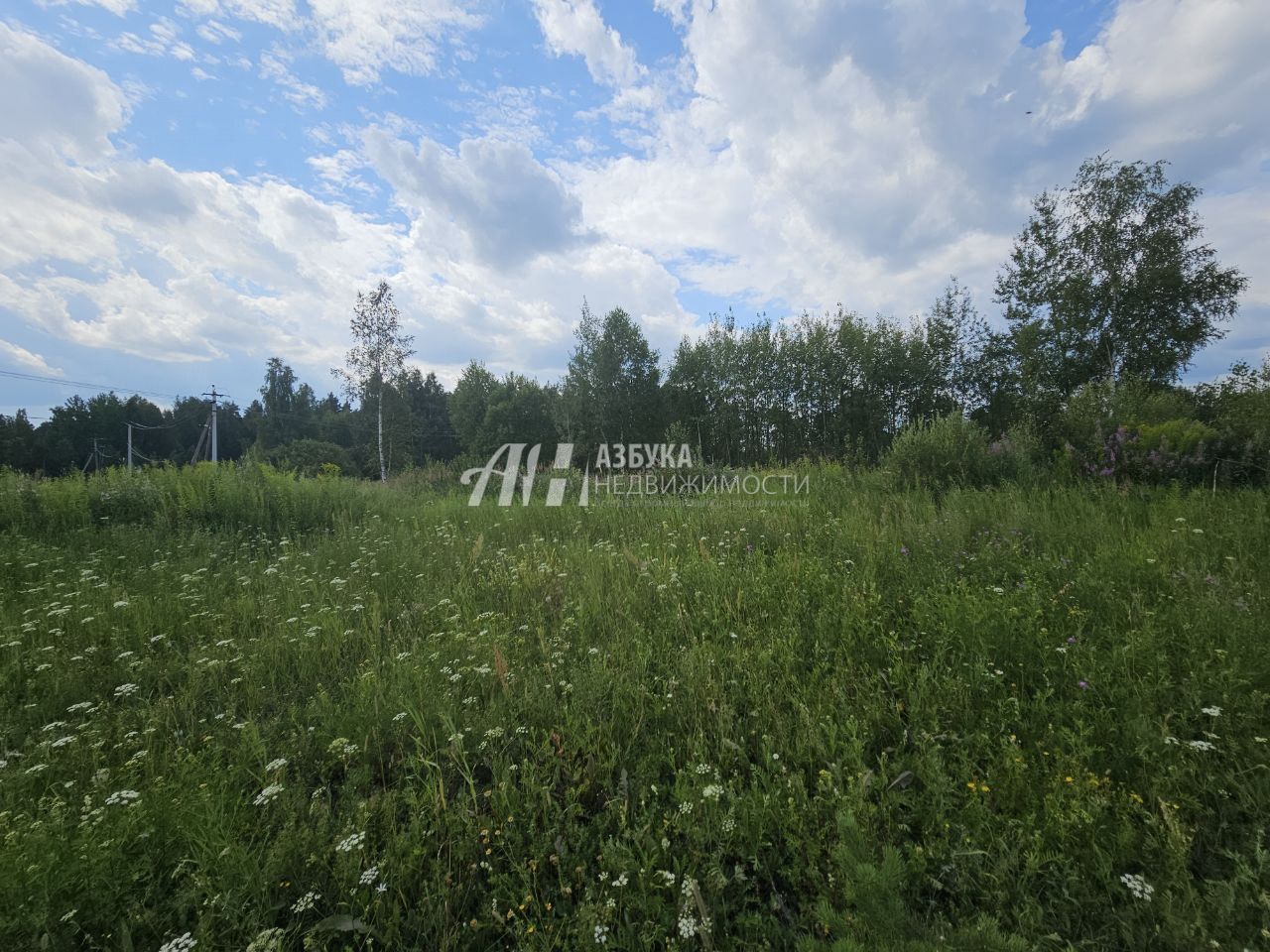 Земли поселения Московская область, Богородский городской округ, Ногинск, Ново-Богородская улица