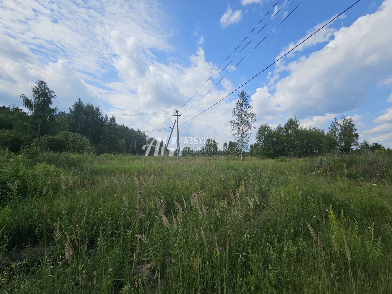 Земли поселения Московская область, Богородский городской округ, Ногинск, Ново-Богородская улица