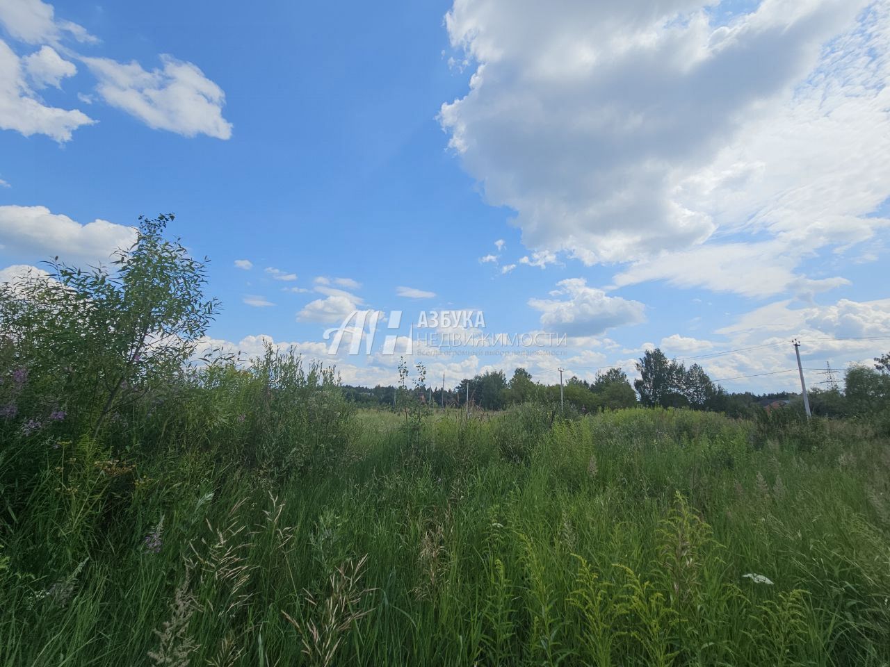 Земли поселения Московская область, Богородский городской округ, Ногинск, Ново-Богородская улица