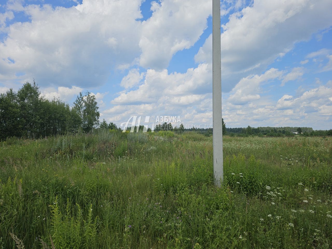 Земли поселения Московская область, Богородский городской округ, Ногинск, Ново-Богородская улица