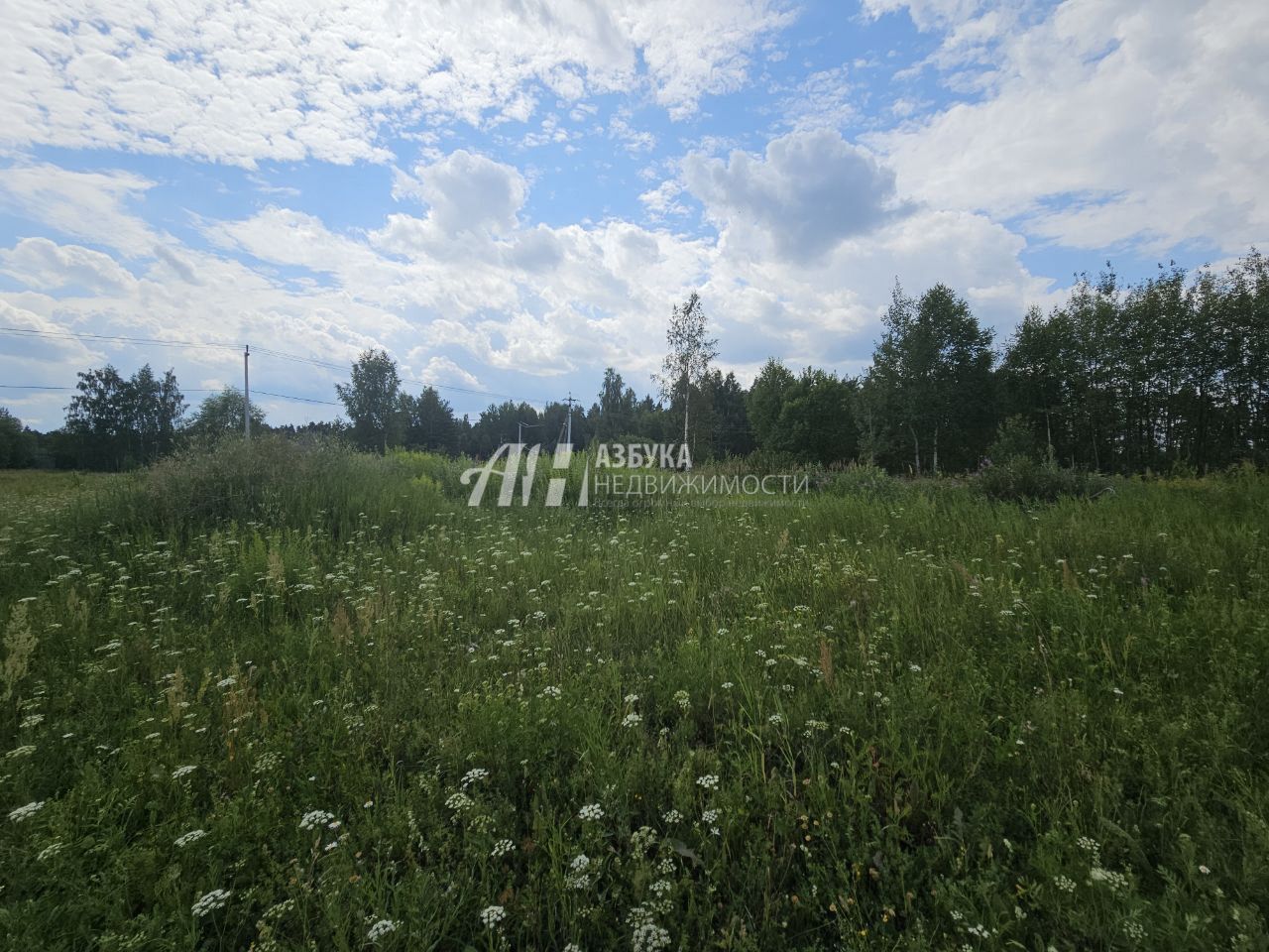 Земли поселения Московская область, Богородский городской округ, Ногинск, Ново-Богородская улица