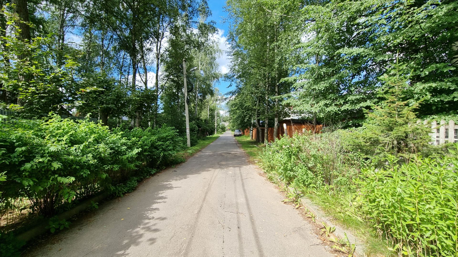 Земли поселения Московская область, городской округ Пушкинский, дачный посёлок Зеленоградский, улица Льва Толстого