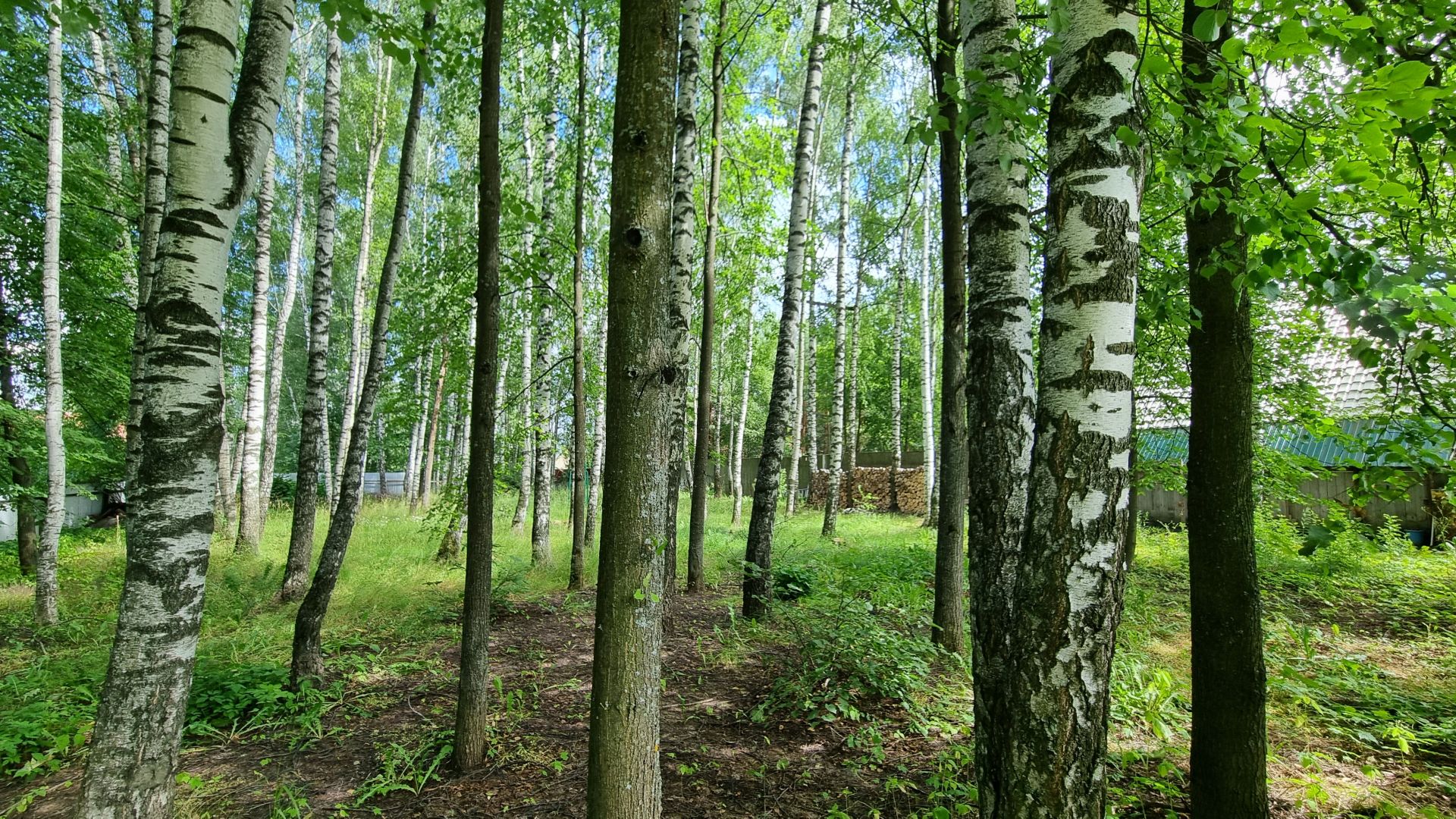 Земли поселения Московская область, городской округ Пушкинский, дачный посёлок Зеленоградский, улица Льва Толстого