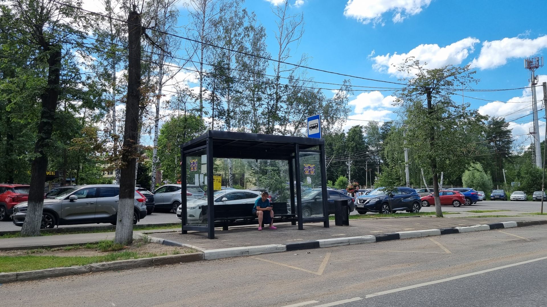 Земли поселения Московская область, городской округ Пушкинский, дачный посёлок Зеленоградский, улица Льва Толстого