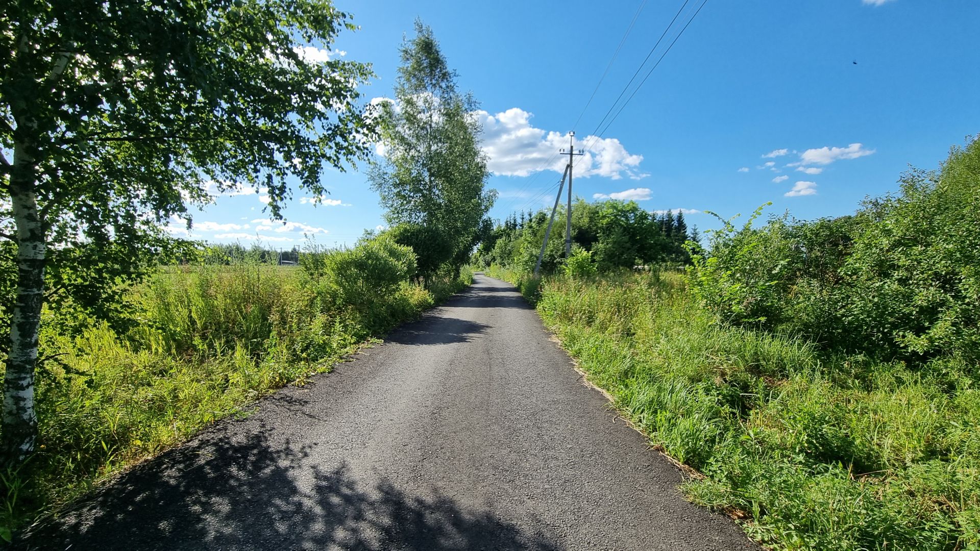  Московская область, городской округ Пушкинский, деревня Чекмово