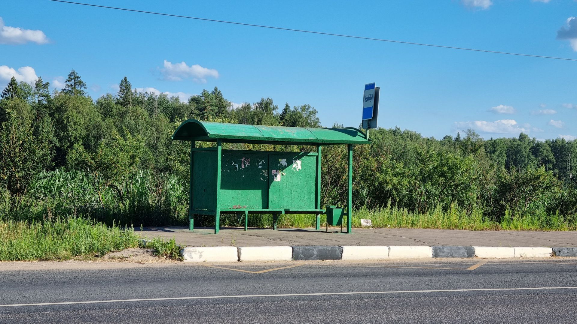  Московская область, городской округ Пушкинский, деревня Чекмово